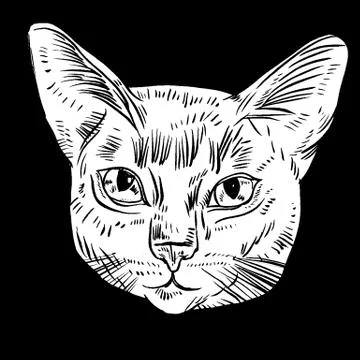 Vector illustration of cat head Illustrazione stock