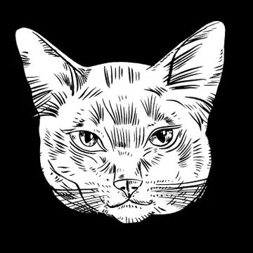 Vector illustration of cat head Illustrazione stock