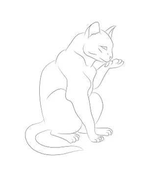 Vector illustration of a cat that licks its paw, drawing lines Illustrazione stock