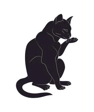 Vector illustration of a cat that licks its paw, drawing silhouette Stock Illustration