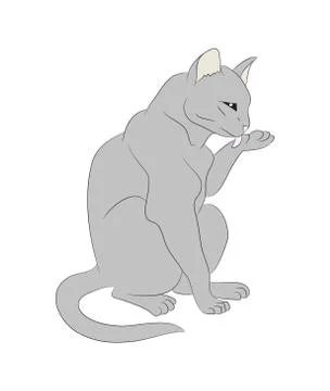 Vector illustration of a cat that licks its paw, drawing color イラスト素材