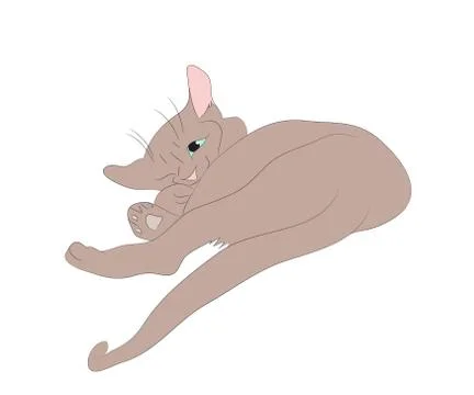 Vector illustration of a cat that lies drawing color Stock-Illustration