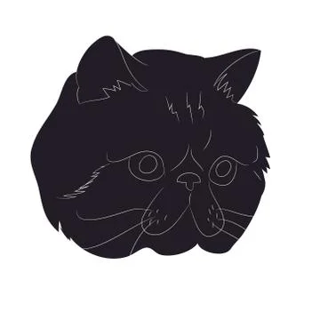 Vector illustration of cat portrait, drawing silhouette, vector, Stock Illustration