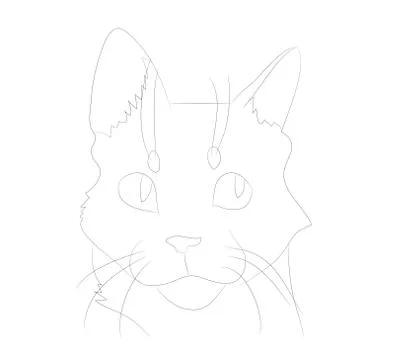 Vector illustration cat portrait, lines, vector Stock Illustration