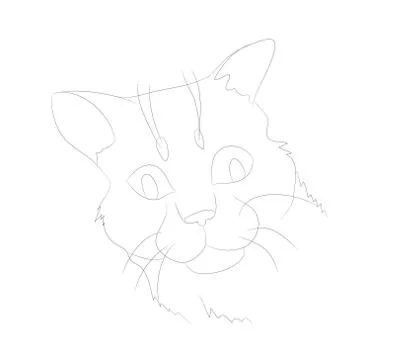 Vector illustration cat portrait, lines, vector Stock Illustration