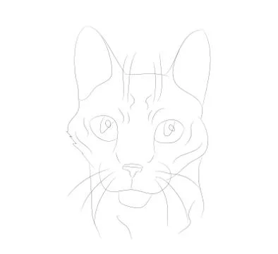 Vector illustration cat portrait, lines, vector Stock Illustration
