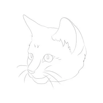 Vector illustration cat portrait, lines, vector Stock Illustration