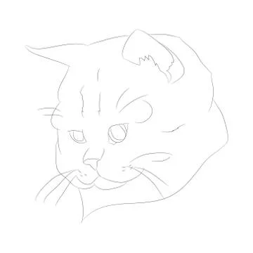 Vector illustration cat portrait, lines, vector Illustrazione stock