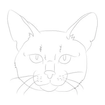 Vector illustration cat portrait, lines, vector Stock-Illustration