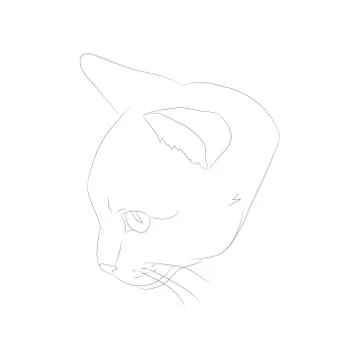 Vector illustration cat portrait, lines, vector Stock Illustration