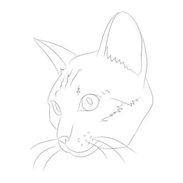 Vector illustration cat portrait, lines, vector Stock Illustration