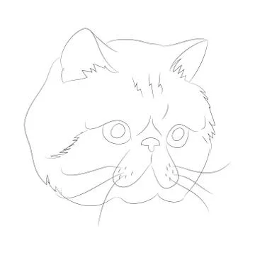 Vector illustration cat portrait, lines, vector Illustrazione stock
