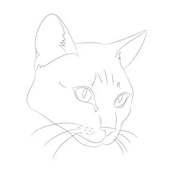 Vector illustration cat portrait, lines, vector Illustrazione stock