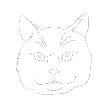 Vector illustration cat portrait, lines, vector Stock Illustration