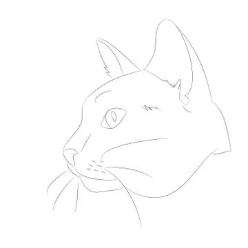 Vector illustration cat portrait, lines, vector Stock Illustration