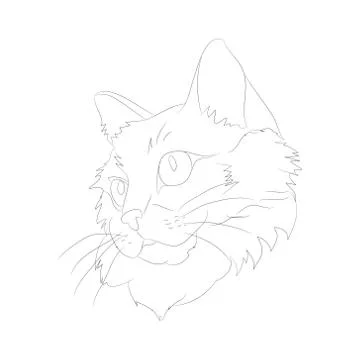 Vector illustration cat portrait, lines, vector Stock-Illustration