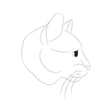 Vector illustration cat portrait, lines, vector Illustrazione stock