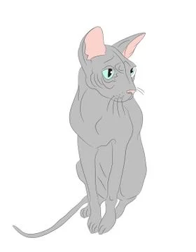 Vector illustration cat sitting in color Stock Illustration