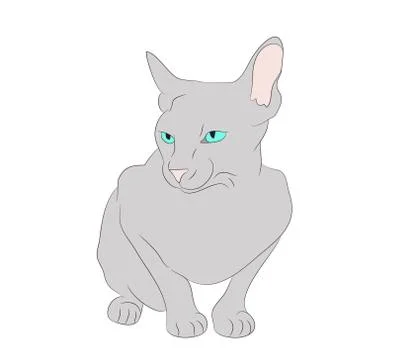 Vector illustration cat sitting in color Stock-Illustration