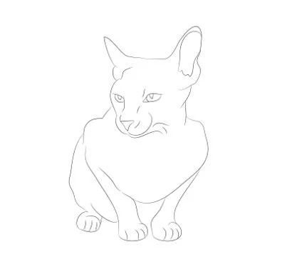 Vector illustration cat sitting, drawing lines Stock Illustration