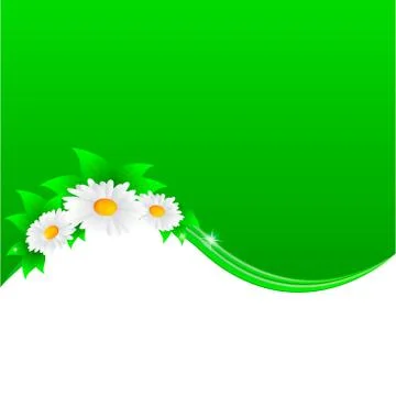 Vector illustration of chamomile flower Stock Illustration