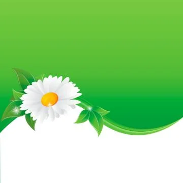 Vector illustration of chamomile flower Stock Illustration