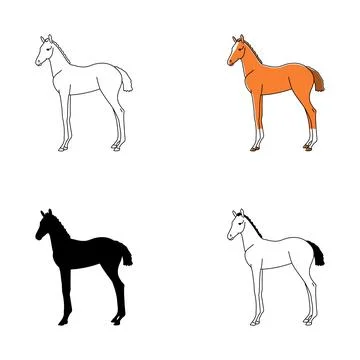 Vector illustration character collection foals Stock Illustration