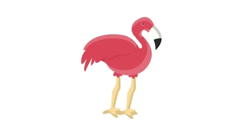 Vector illustration of a cheerful flamingo, featuring bright pink feathers .. Video stock 332461623