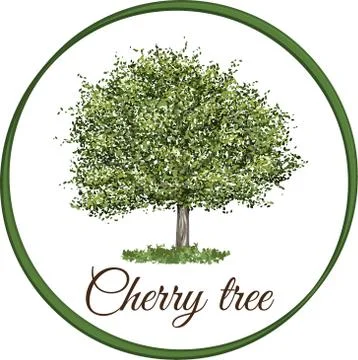 Vector illustration of an cherry tree isolated Stock Illustration