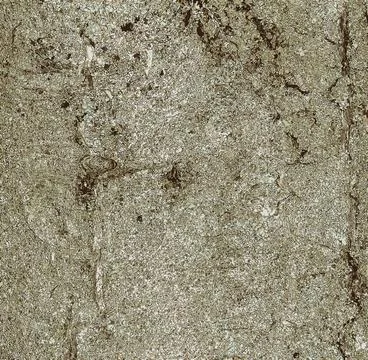 Vector illustration of chestnut bark. Texture of the trunk of Aesculus hipp.. Stock Photos