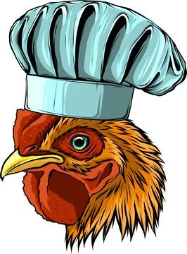 Vector illustration of chicken chef on white background Stock Illustration