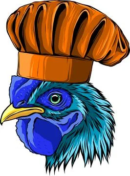 Vector illustration of chicken chef on white background Stock Illustration