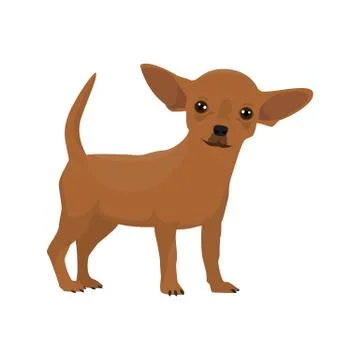 Vector illustration of Chihuahua Stock Illustration
