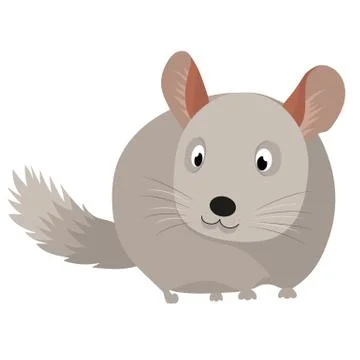 Vector illustration of a chinchilla. Stock Illustration