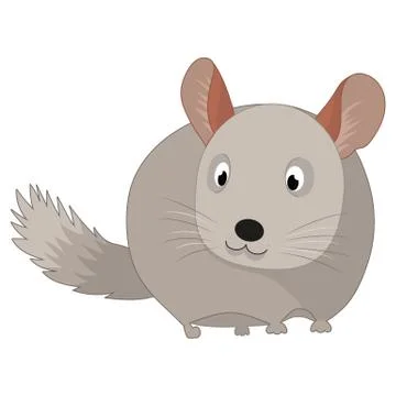 Vector illustration of a chinchilla. Stock Illustration