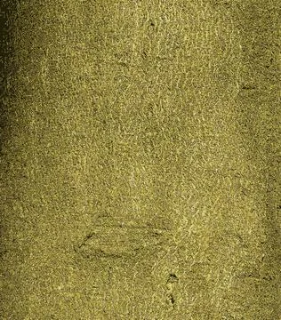 Vector illustration of Cladrastis kentukea tree bark background in sunny weat Stock Illustration