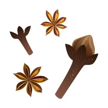 Vector illustration. Cloves and star anise set Stock Illustration