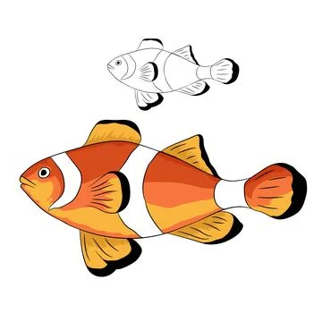 Vector Illustration Of Clownfish Stock Illustration