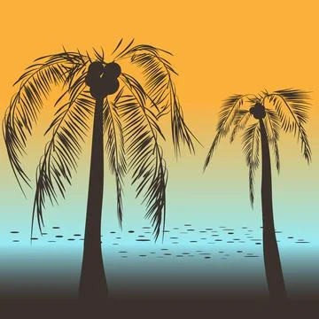 Vector illustration. Coast, beach. Drawn realistic silhouettes of palm trees. Stock Illustration