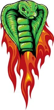 Vector illustration of cobra head with flames Illustration