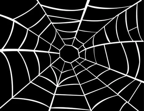 Vector illustration of cobweb Stock Illustration