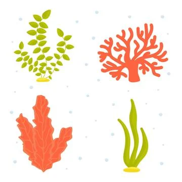 Vector illustration. Collection of underwater algae cartoon clipart. Undersea イラスト素材