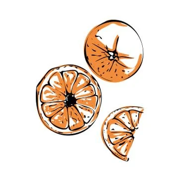 Vector illustration of a colored orange on a white isolated background. Illustrazione stock