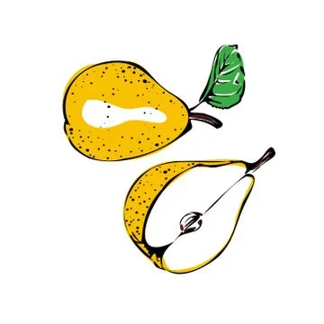 Vector illustration of a colored pear on a white isolated background. Shop Stock Illustration