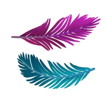 Vector illustration of colored plume. Illustration