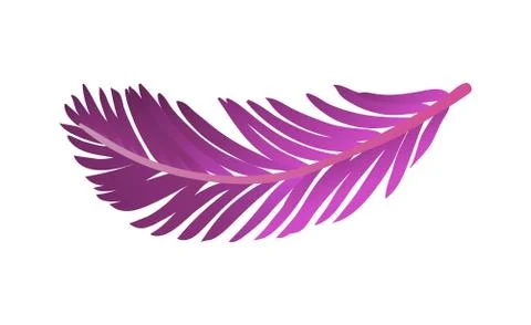 Vector illustration of colored plume. Illustration