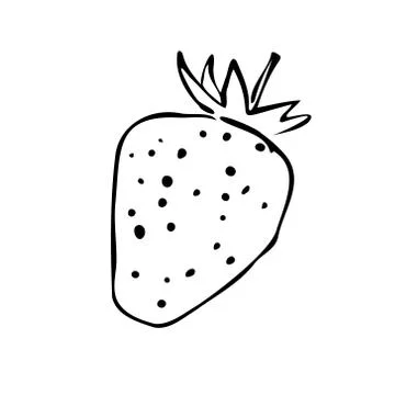 Vector illustration of colored strawberries on a white isolated background Stock Illustration