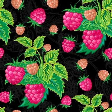 Vector illustration. Colorful seamless pattern of pink raspberries on black Illustrazione stock