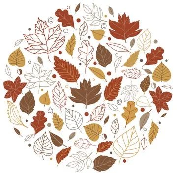 Vector illustration. Composition with leaves of maple, oak, birch in cozy autumn Stock Illustration
