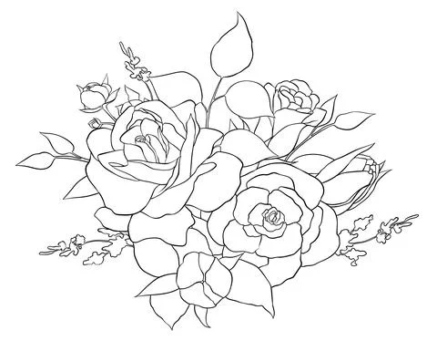 Vector illustration of a composition of roses and leaves. Hand drawn contour  Stock Illustration